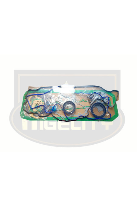 JGO. EMPAQUE HINO GH-GD J08CT S/CABEZOTE HIGELITY (HLT)