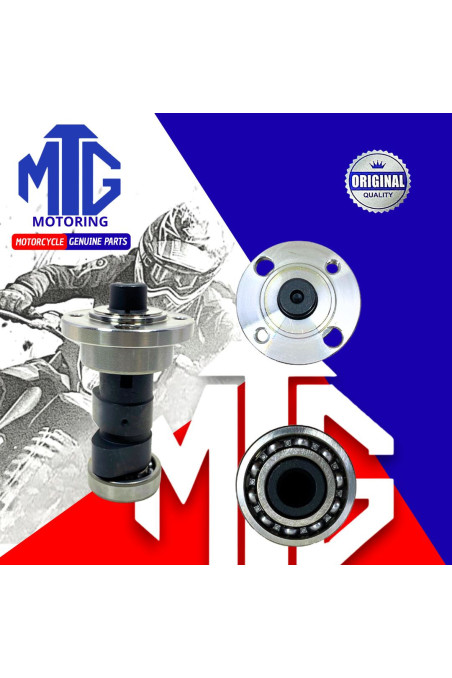 ARBOL DE LEVA CB200/SKR200 C/RULIMAN (MTG)