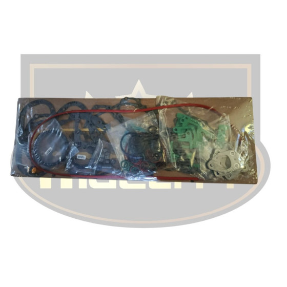 JGO. EMPAQUE HINO H06CT S/CABEZOTE HIGELITY (HLT)