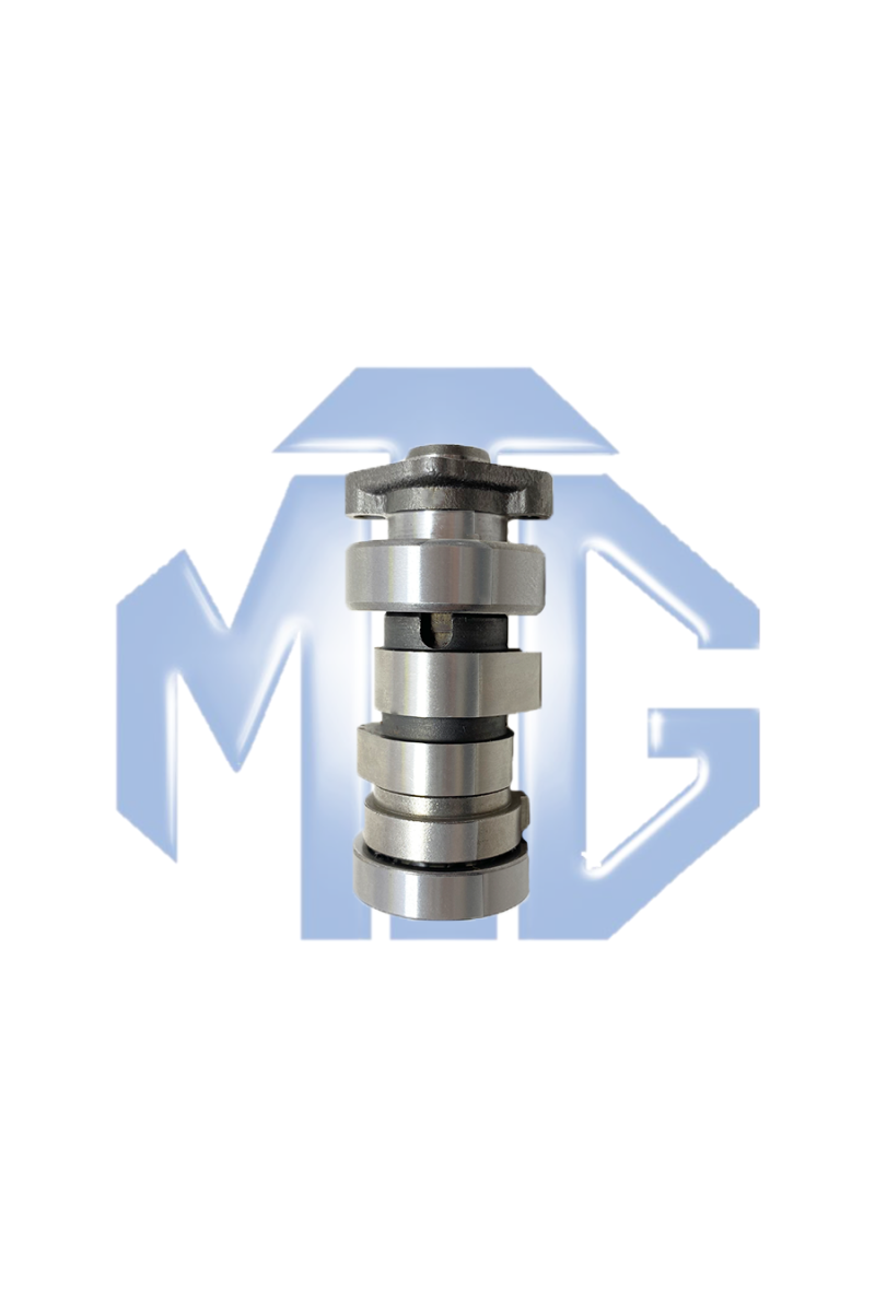 ARBOL DE LEVA GY6175 PASOLA (MTG)