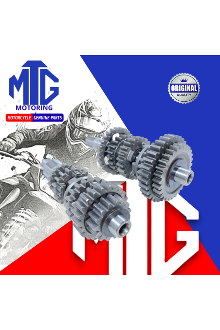 CAJA CAMBIO ARM. XY200GY-6 EJE 172MM (MTG)