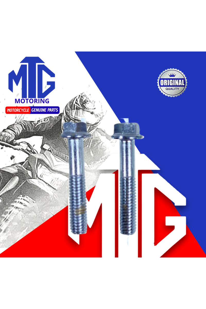 PERNO P/CORONILLA M6x65 (MTG)