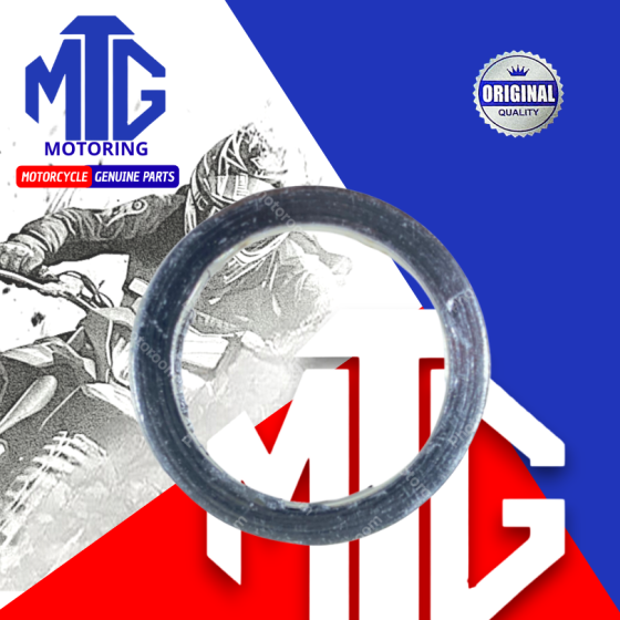 EMPAQUE FUEGO PULSAR LS135/M.110 (SUZ)