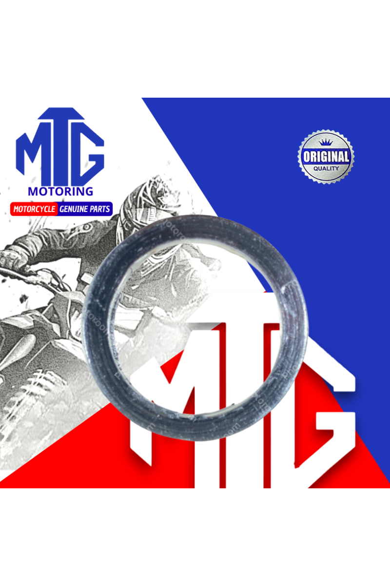 EMPAQUE FUEGO PULSAR LS135/M.110 (SUZ)