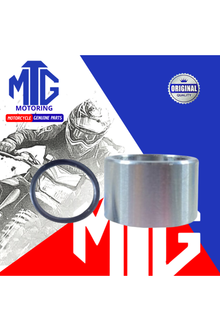 BUJE/BOCIN PIÑON MOTRIZ AX100 (SUZ)