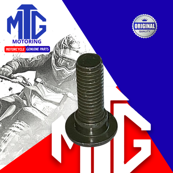 PERNO P/DISCO FRENO 8x25 (MTG)