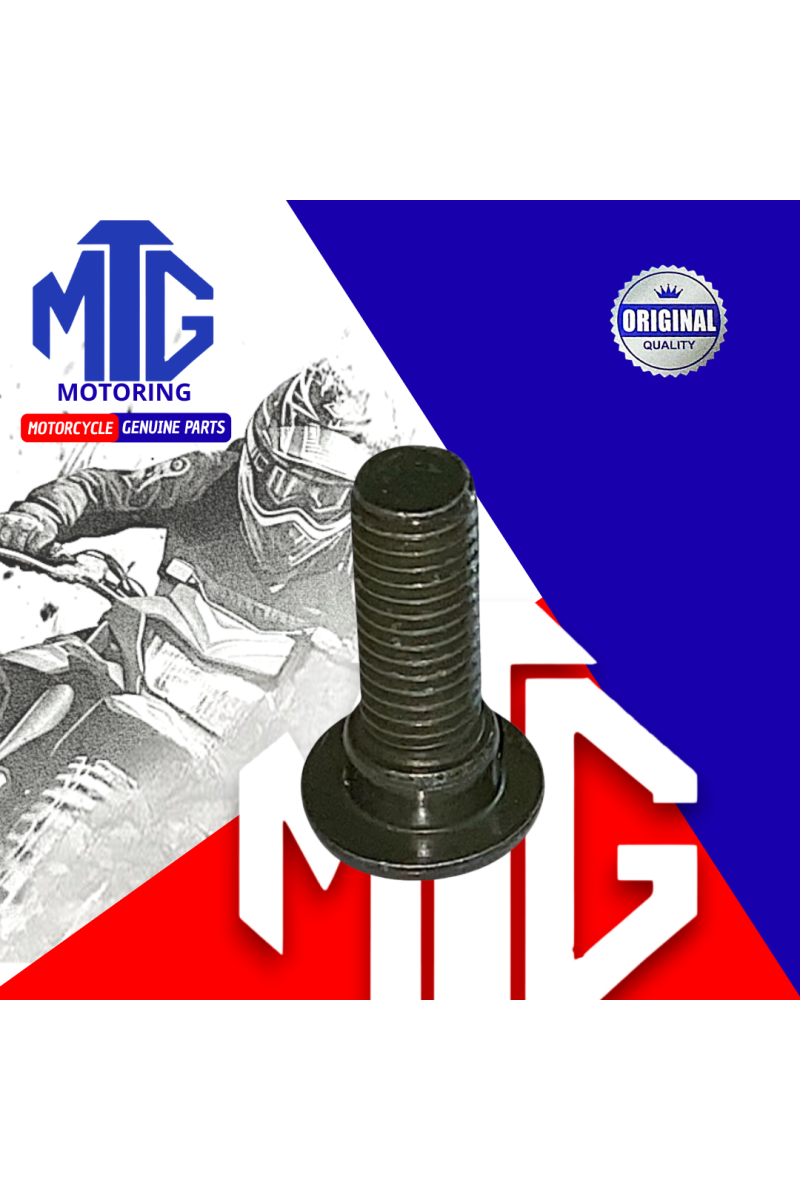 PERNO P/DISCO FRENO 8x25 (MTG)