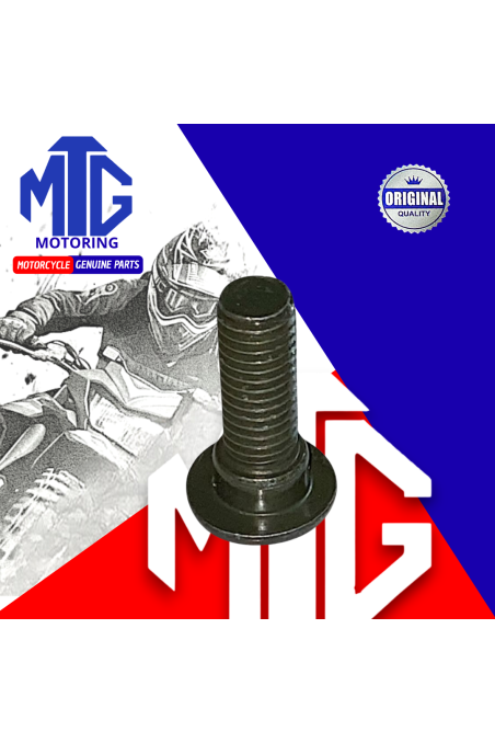 PERNO P/DISCO FRENO 8x25 (MTG)