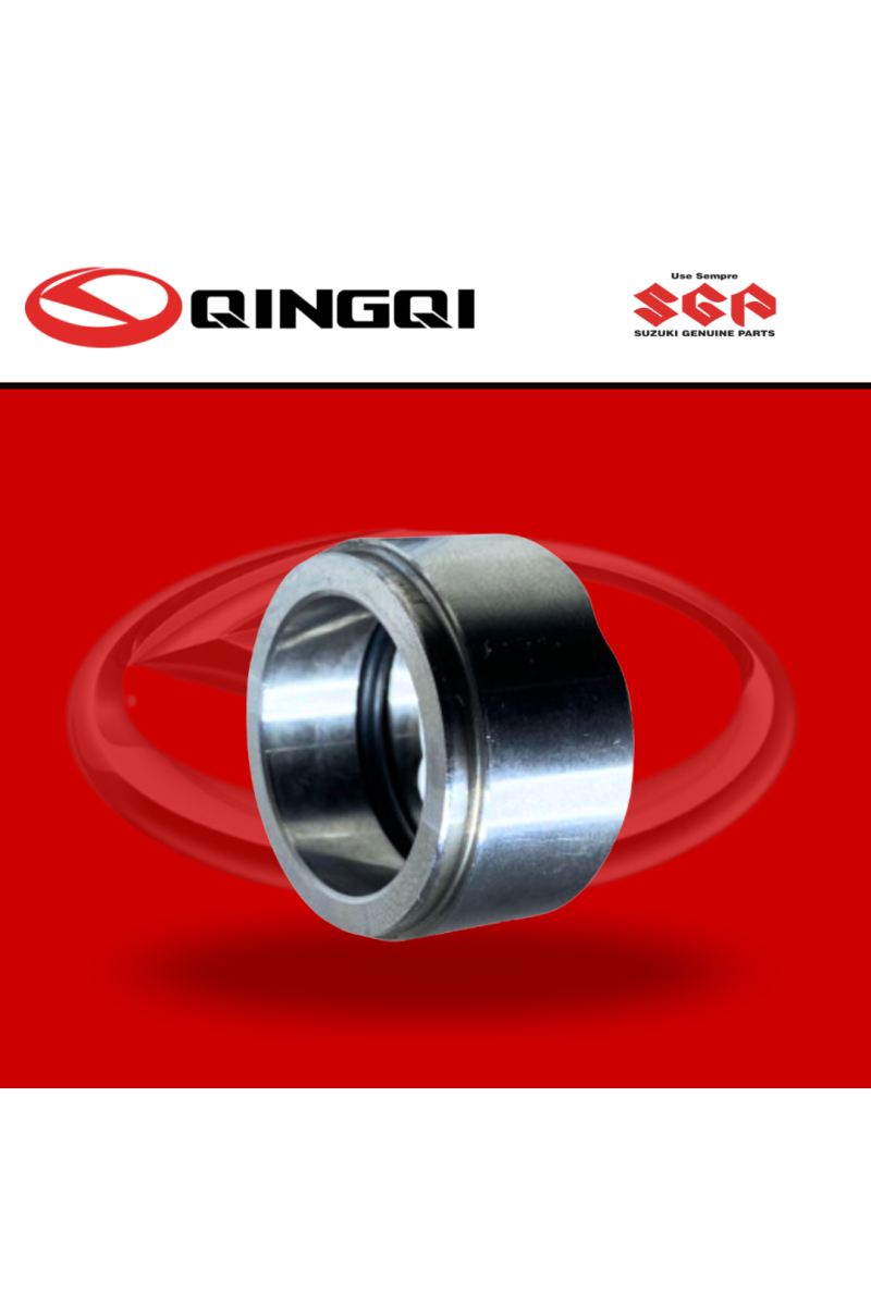 BUJE/BOCIN PIÑON MOTRIZ QINGQI200 (SUZ)