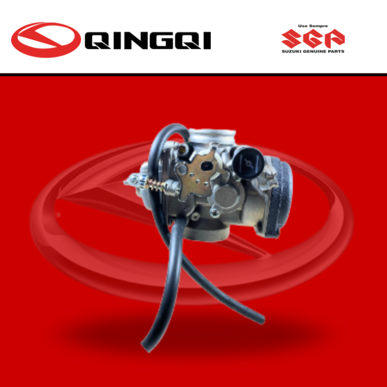 CARBURADOR QINGQI250 (SUZ)