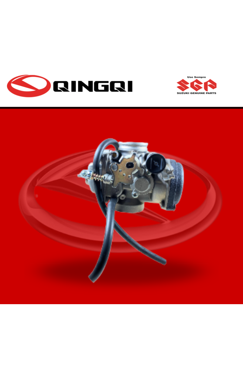 CARBURADOR QINGQI250 (SUZ)