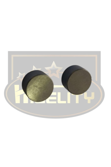 PASTILLA VALVULA ISUZU NPR FTR 4HG1-6HE1 HIGELITY (HLT)