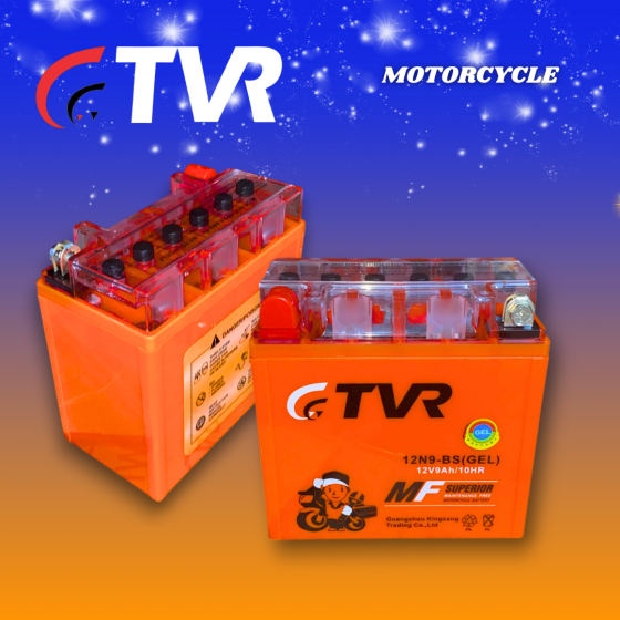BATERIA GEL 12N9-4B (TVR)