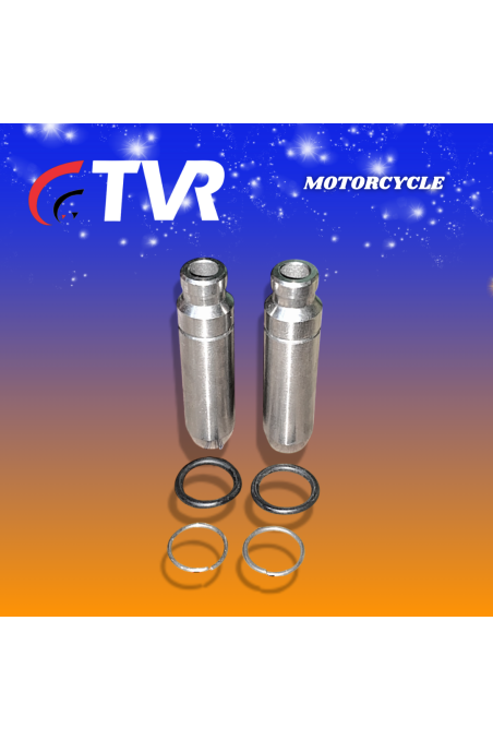 GUIA VALVULA GN125 PAR (TVR)