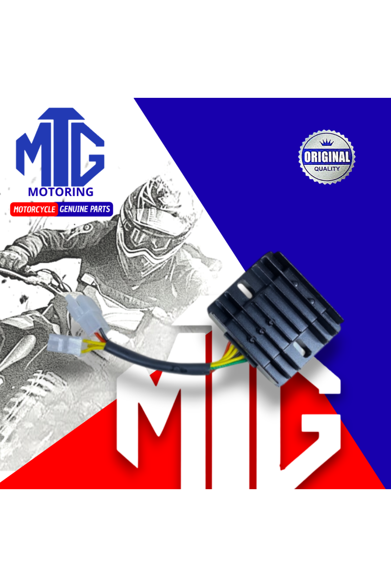 RECTIFICADOR CORRIENTE 6/CABLES 2/SOCKET (MTG)