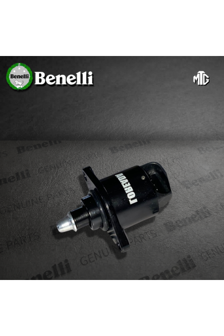 VALVULA IAC BENELLI TNT502 (SUZ)