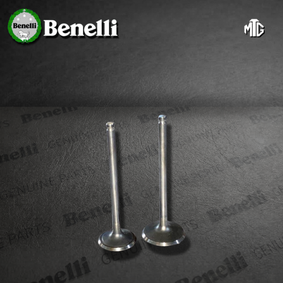 VALVULA BENELLI TNT150 (SUZ)