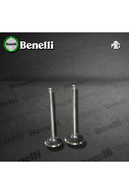 VALVULA BENELLI TNT150 (SUZ)
