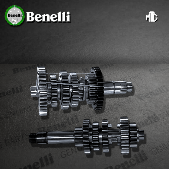 CAJA CAMBIO ARM. BENELLI TNT25N-Z/F (SUZ)