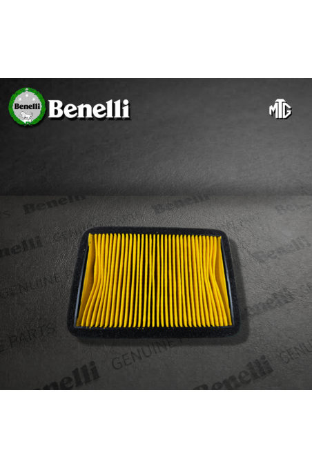 FILTRO AIRE BENELLI TNT150 (SUZ)