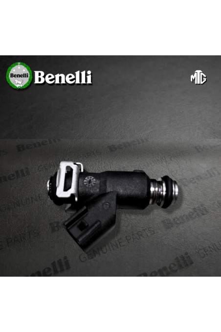 INYECTOR BENELLI TNT302S (SUZ) -/