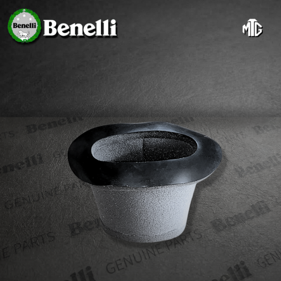 FILTRO AIRE BENELLI TNT250 (SUZ)