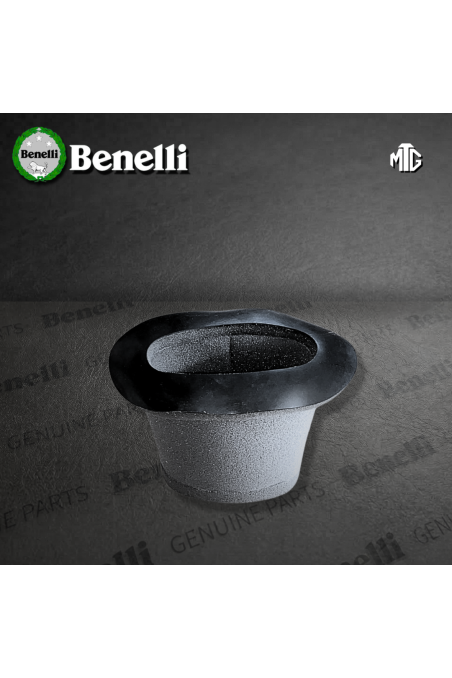 FILTRO AIRE BENELLI TNT250 (SUZ)