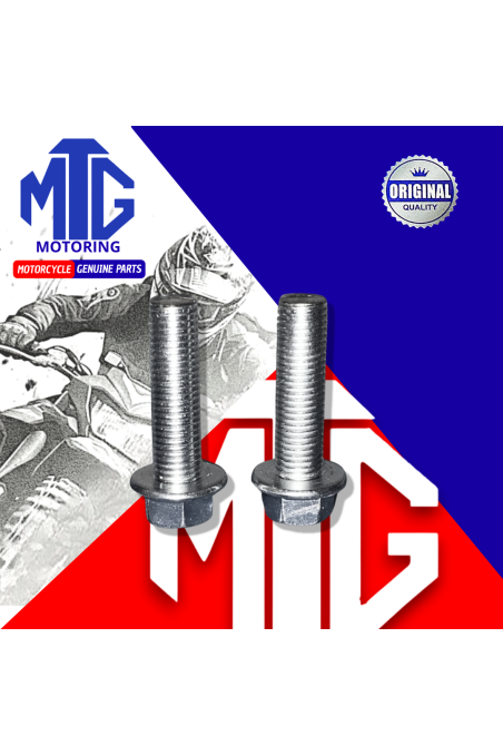 PERNO PUNTA CIGUEÑAL CG 10x35MM UNIDAD (MTG)