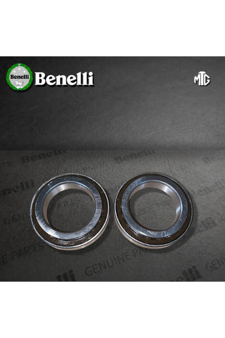 PISTA TRINCHE BENELLI TNT302S/TRK502/TNT25 TORNADO (SUZ)