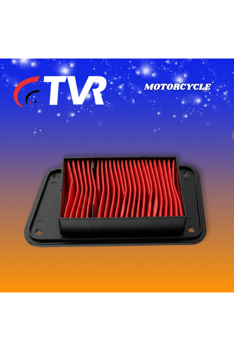 FILTRO AIRE GY6175 PASOLA (TVR)