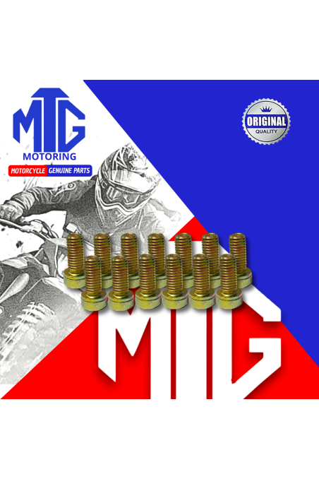 PERNO MAGNETO 8x18MM TIPO XO (MTG)