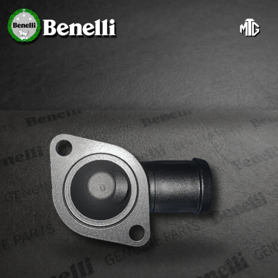 TAPA/PROTECTOR TERMOSTATO BENELLI TNT302S