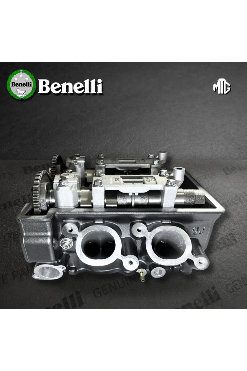 CABEZOTE BENELLI TNT302 / QJ265MN (SUZ)