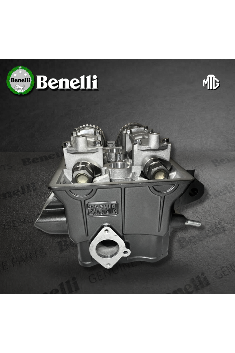 CABEZOTE BENELLI TNT302 / QJ265MN (SUZ)
