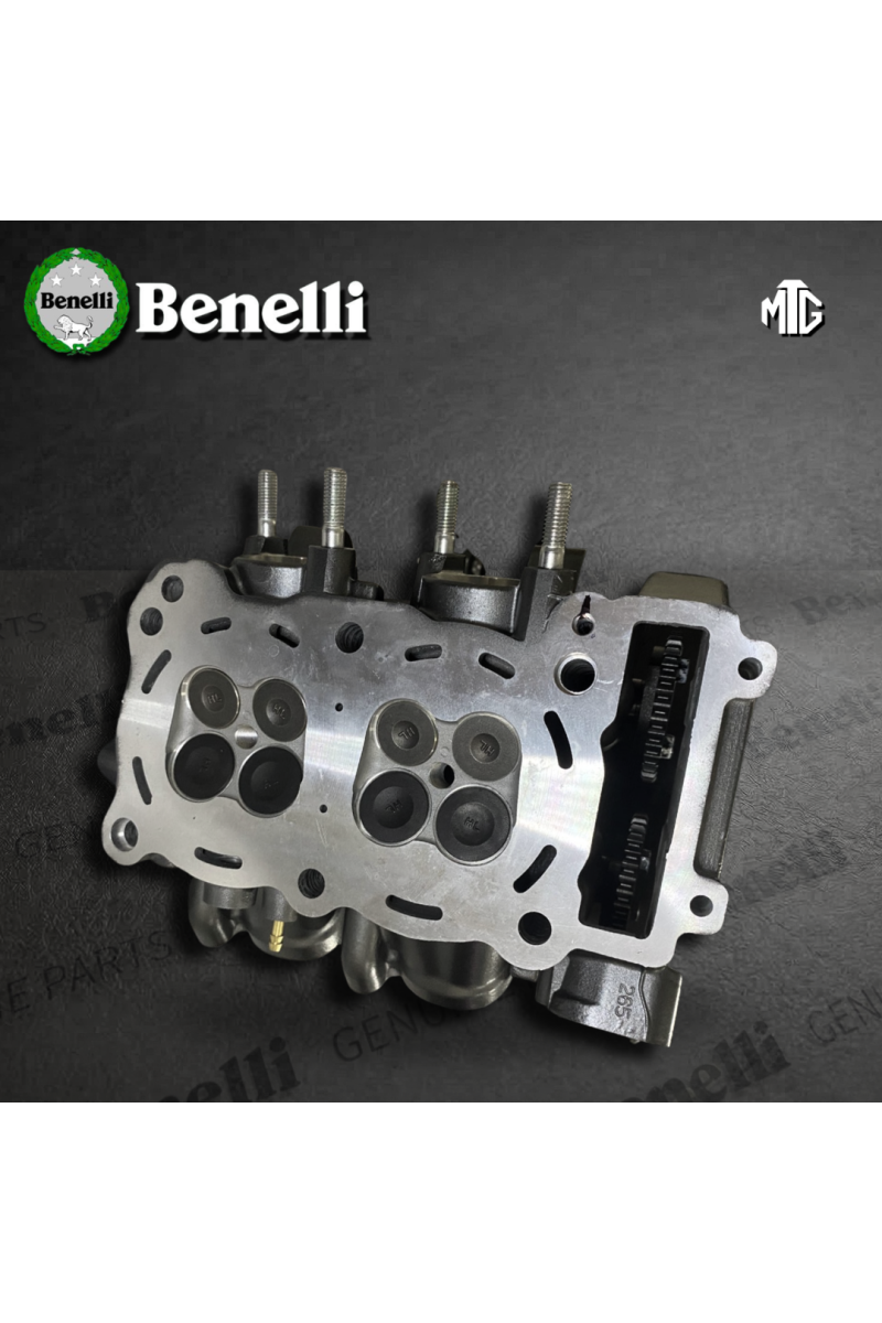 CABEZOTE BENELLI TNT302 / QJ265MN (SUZ)