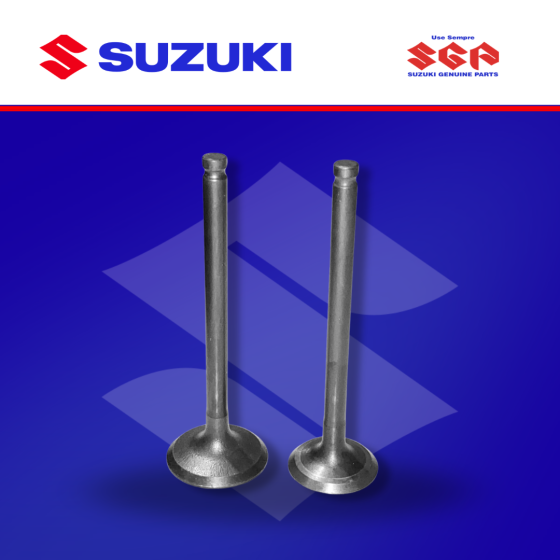 VALVULA AX4 PAR (SUZ)