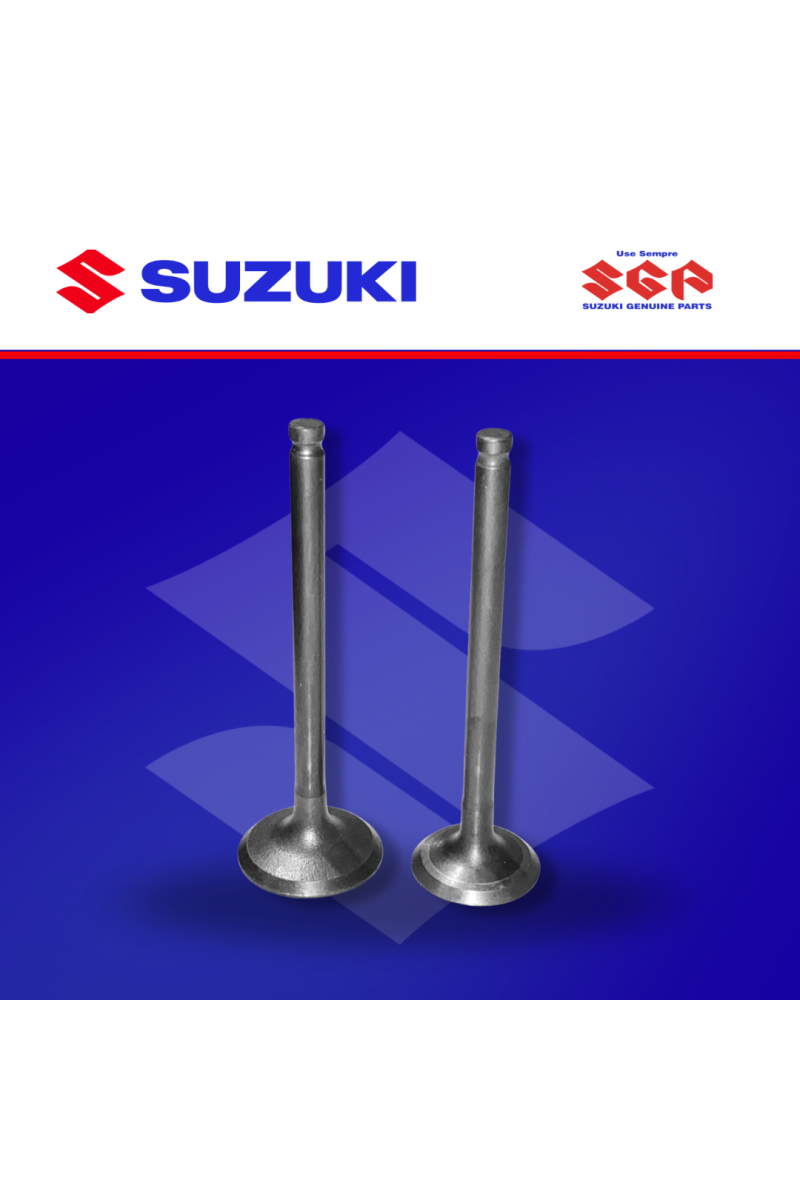 VALVULA AX4 PAR (SUZ)