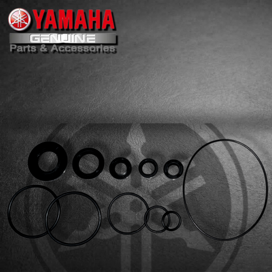 JGO. RETENEDOR MOTOR YAMAHA YBR125 C/ORING (SUZ)