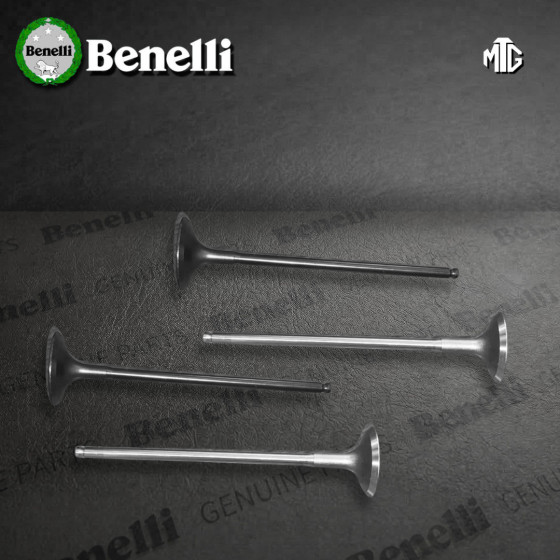 VALVULA BENELLI TNT301S 4I/4E JGO (SUZ) -/