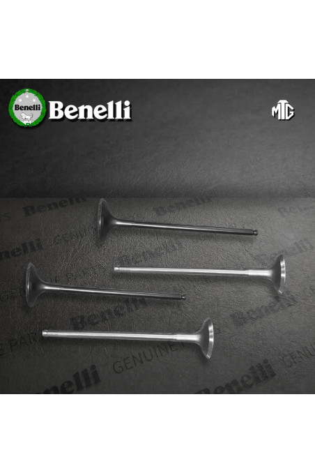 VALVULA BENELLI TNT301S 4I/4E JGO (SUZ) -/