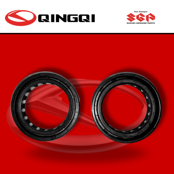 RETENEDOR BARRA 35x48x11 QINGQI200 PAR (SUZ)