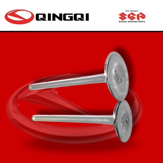 VALVULA QINGQI250 (SUZ)