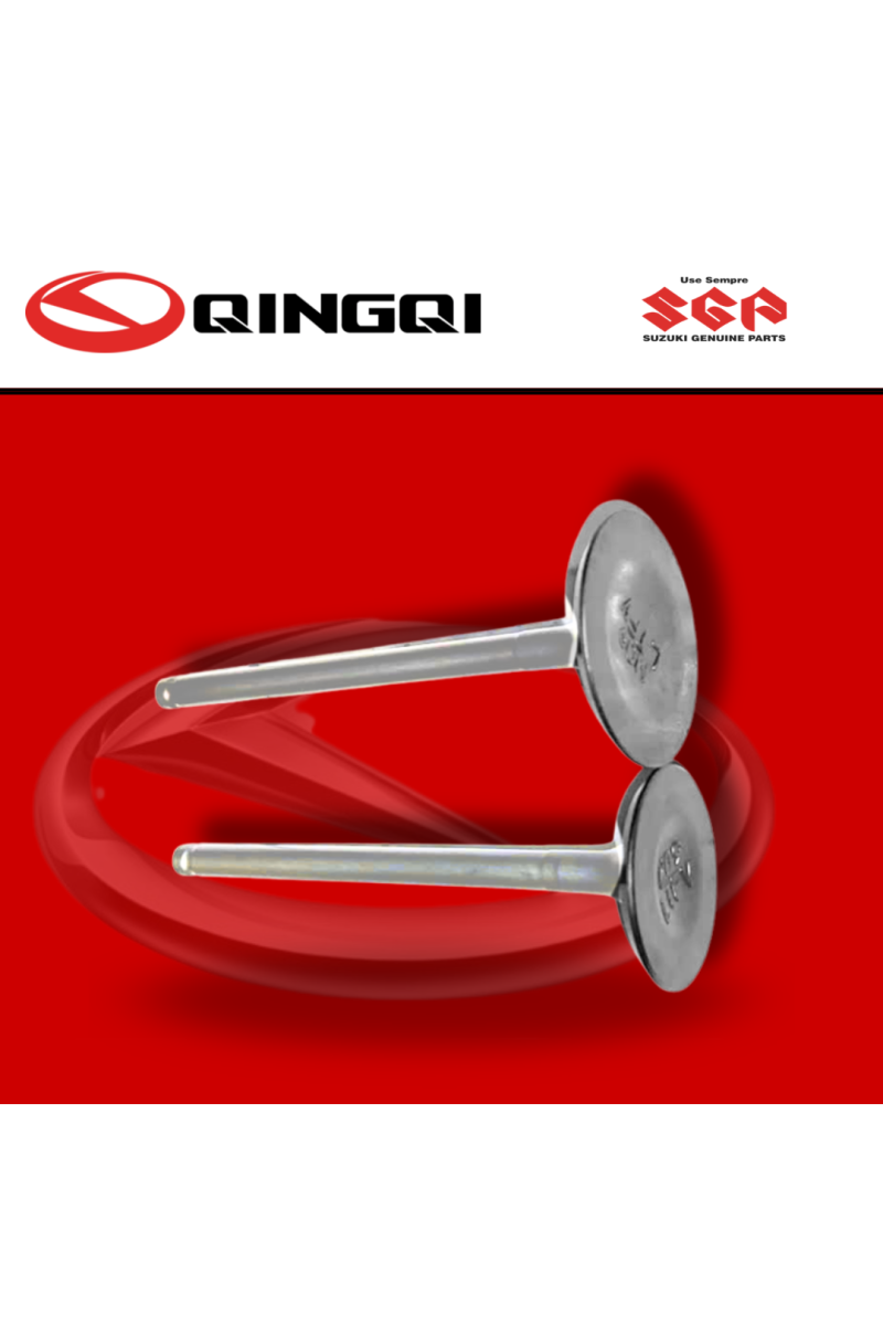 VALVULA QINGQI250 (SUZ)