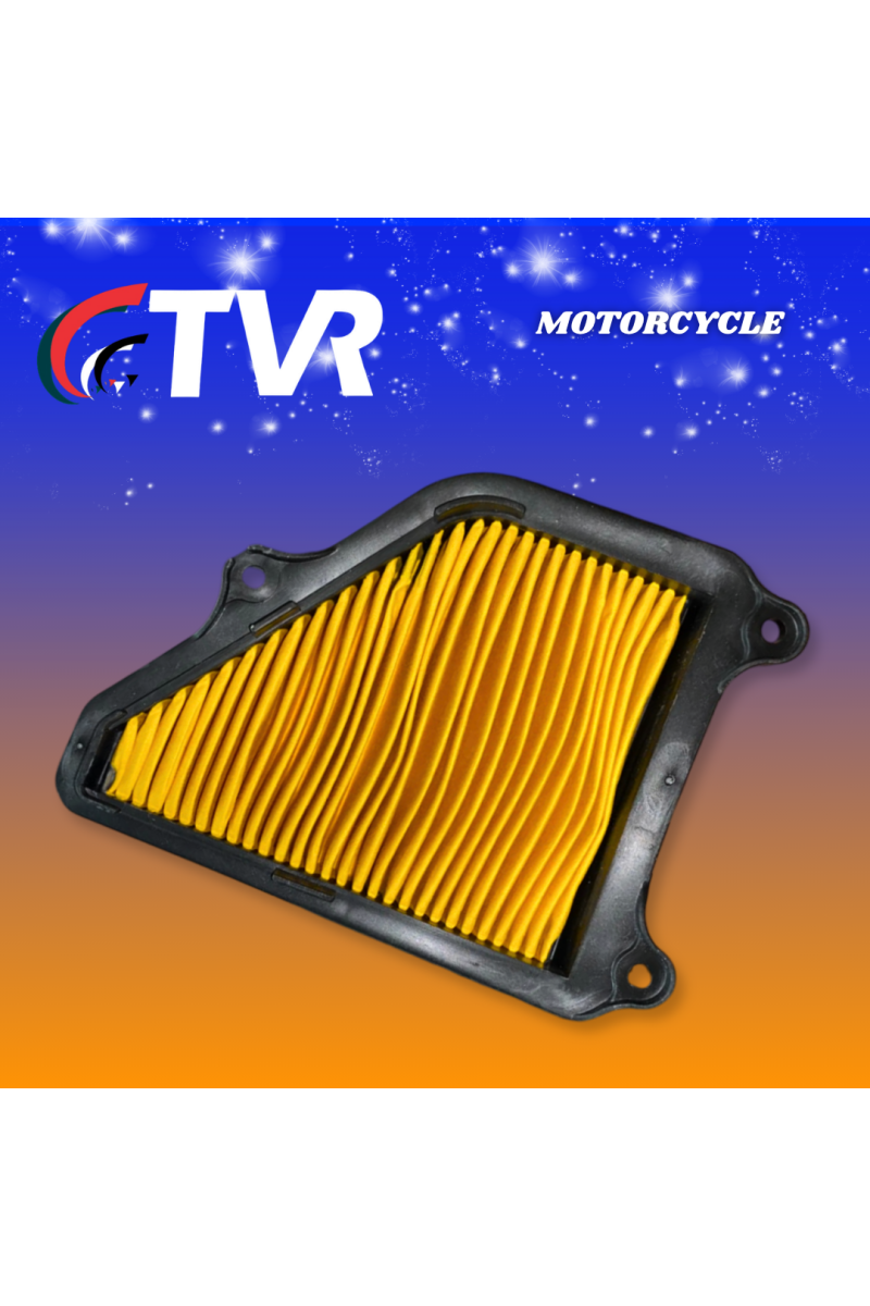 FILTRO AIRE AX4 (TVR)
