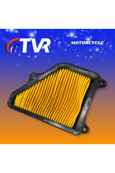 FILTRO AIRE AX4 (TVR)