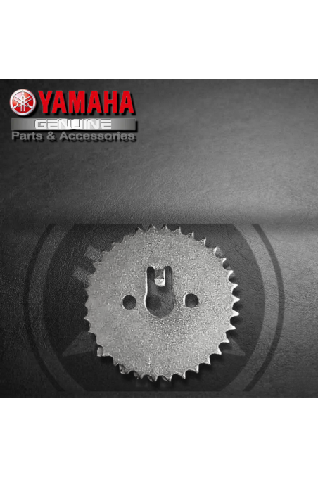 PIÑON ARBOL DE LEVA YAMAHA YBR125 25H (SUZ)