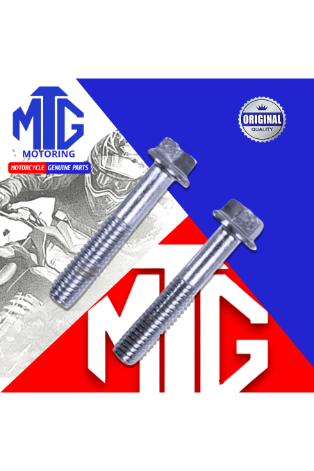 PERNO P/CORONILLA M6x65 (MTG)