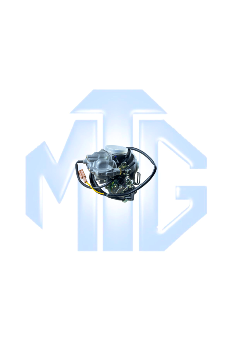CARBURADOR AN125 (SUZ)