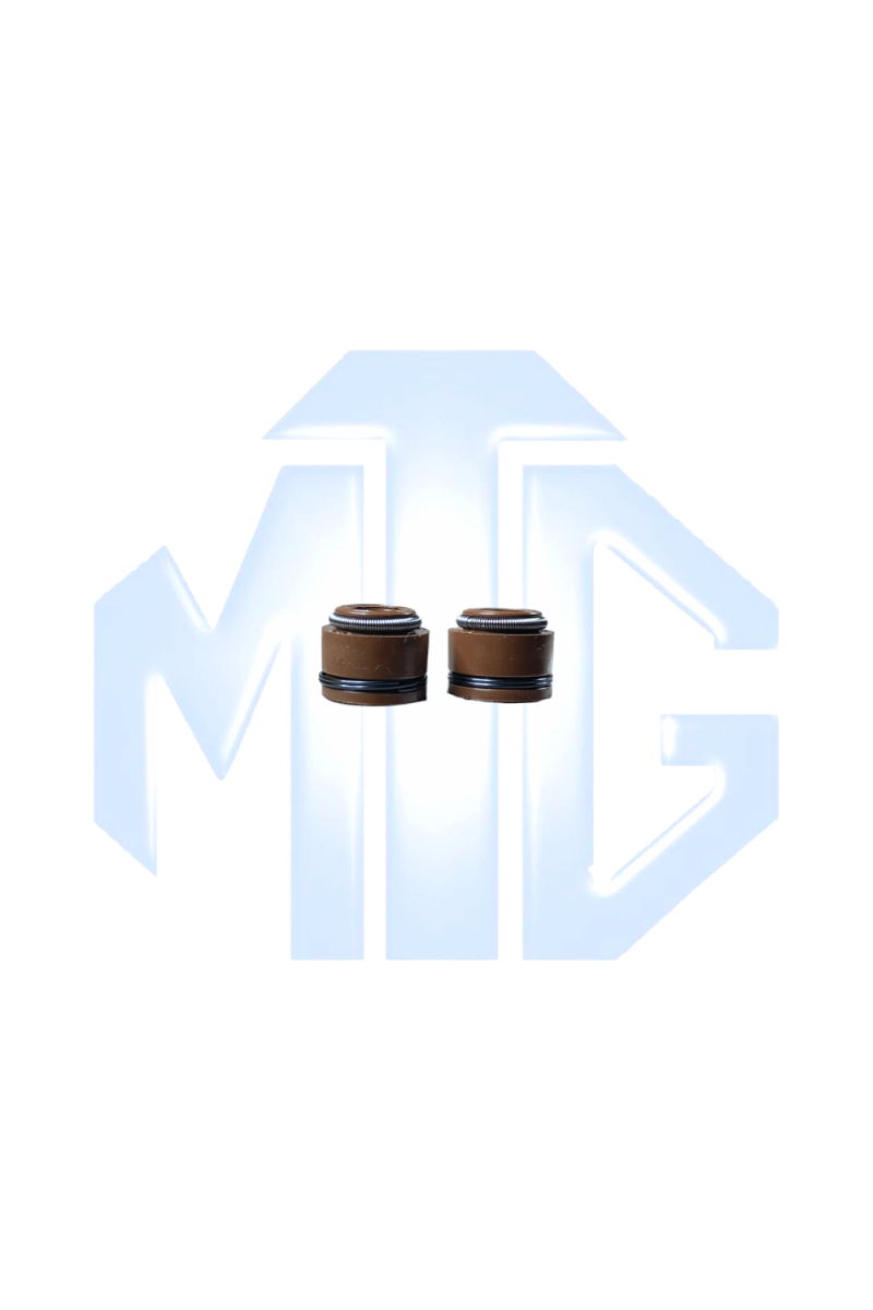 CAUCHO VALVULA GN125 PAR (SUZ)