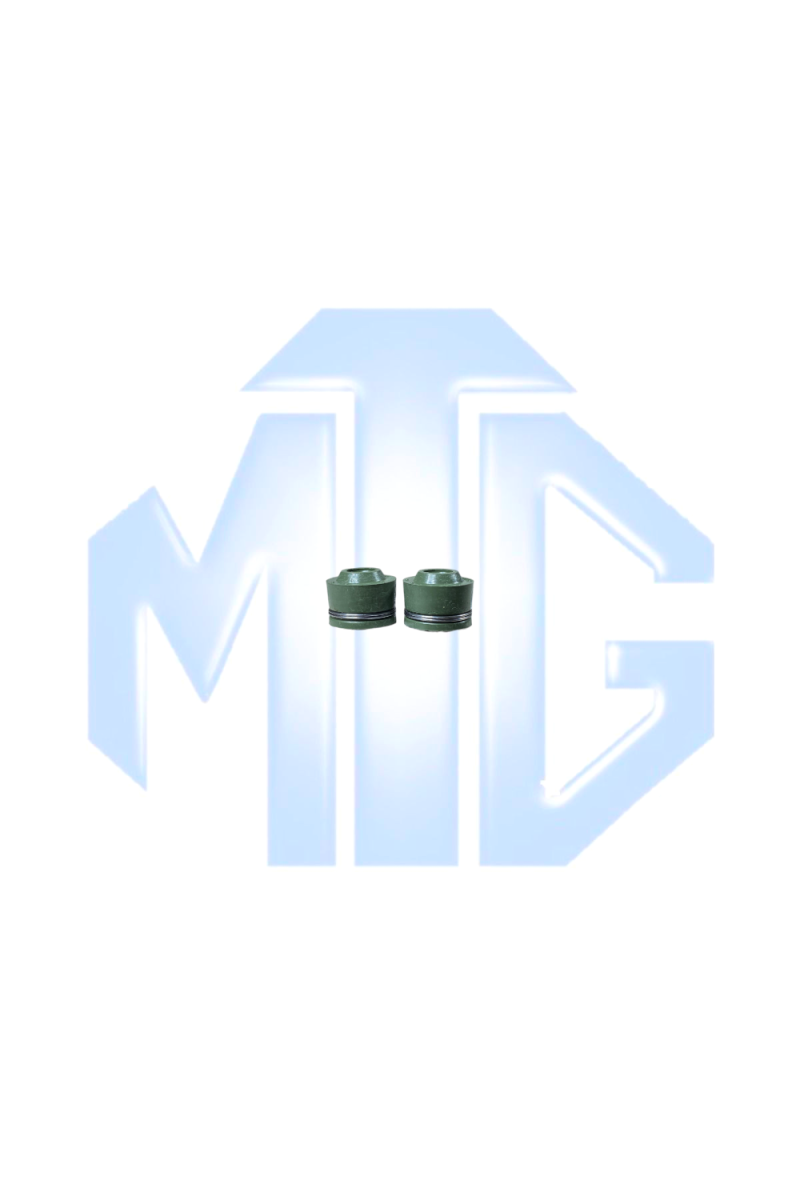 CAUCHO VALVULA YAMAHA YBR125 PAR (SUZ)